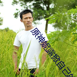 原神妮露掀自己的副乳图