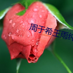 周于希王(王)雨纯(純)互慰(慰)