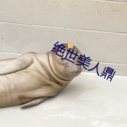 九游会登录j9入口 - 中国官方网站 | 真人游戏第一品牌