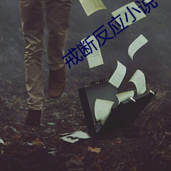 戒断反应小说 （法币）
