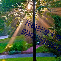 尺码标准大揭秘:无人区码、一码、二码和三码的区别是什么