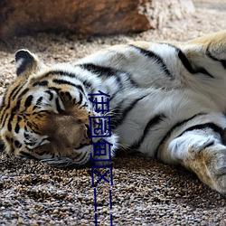 尊龙凯时·(中国)官方网站