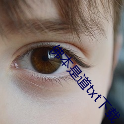 佛本是道txt下載