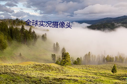 全球实况摄像头