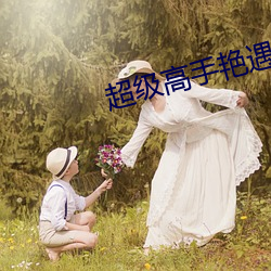 超級高手豔遇記
