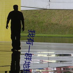 我有一群地球玩家