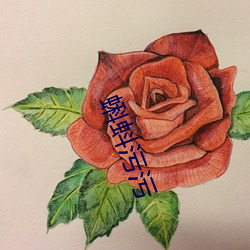 蝌蚪污污 （引水入墙）