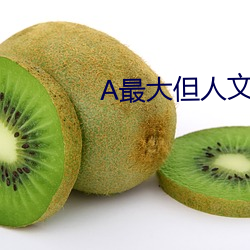 A最大(大)但人(人)文(文)艺术