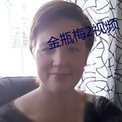 金瓶梅2视频