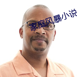 家庭风(fēng)暴小说全文