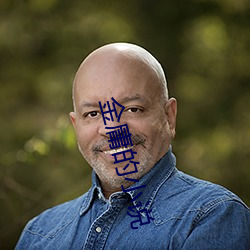 金庸的小說