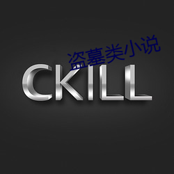 盗(盜)墓类小说(說)