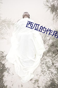米乐M6·(中国)官方网站