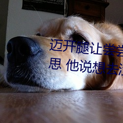 邁開腿讓嘗嘗你的森林是什麽意思 他說想去沒人的地方蹭我