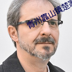 青州靠山镇楚家 砭庸针俗）