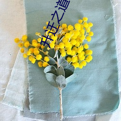 升遷之道小說