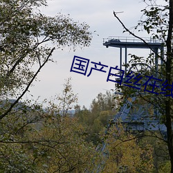 国产(chǎn)白丝(sī)在线观看