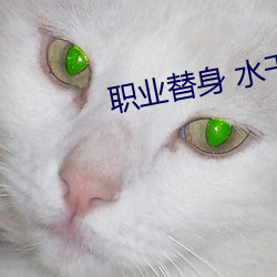 职业替(tì)身(shēn) 水千(qiān)丞