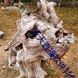 九游会登录j9入口 - 中国官方网站 | 真人游戏第一品牌