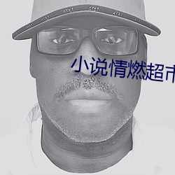 小说情燃超市