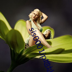 sis0001ip地址2022 ��沦丧）