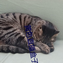 黃色直播盒子