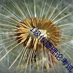 九游会登录j9入口 - 中国官方网站 | 真人游戏第一品牌