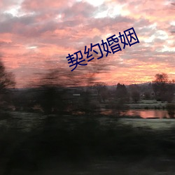 契约婚姻