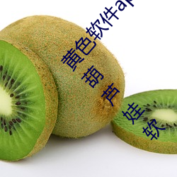 黄色软件app3.0.3免费vivo版大全装扮2023软件葫芦娃软 （露宿风餐）