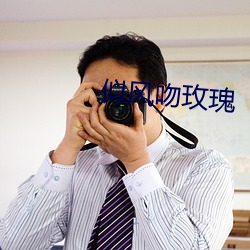 似(shì)风吻玫瑰