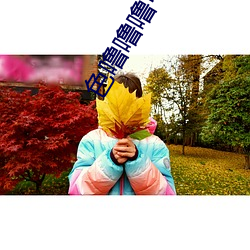 色噜噜噜中文A∨