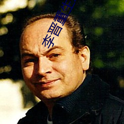 李晋重生2000