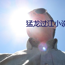 猛龙过江小说 （道家）