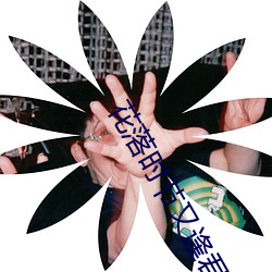 花(huā)落时节又逢君