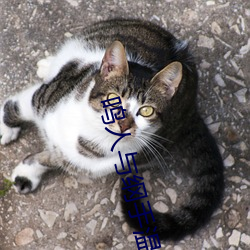 尊龙凯时·(中国)官方网站