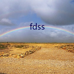 fdss