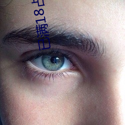 已(已)满(滿)18占(占)此进(進)入