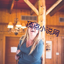 顶点小说网(wǎng)