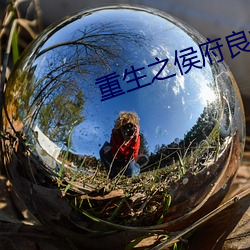 重生(生)之侯(侯)府良女
