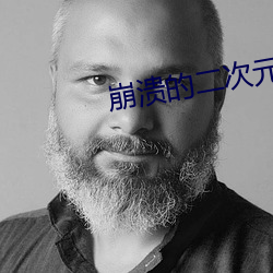 崩溃的二次元