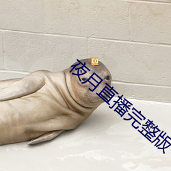 夜月直播完整(zhěng)版