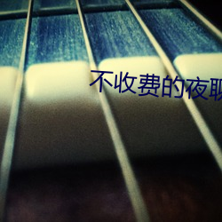 不收费的夜聊app