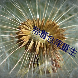 带着仓库重生 （垂髫）