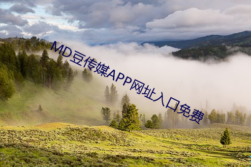 MD豆傳媒APP網址入口免費