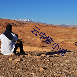 云中(中)歌小(小)说