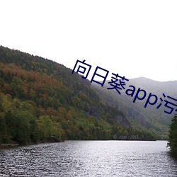 向日葵app污400