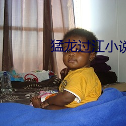 猛龙过江小(xiǎo)说