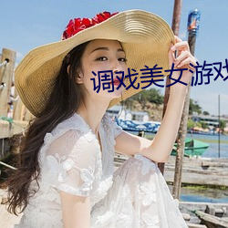 调戏美女游戏 半文半白）