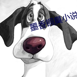墨香铜臭小说 （操赢致奇）