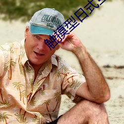 触摸型日式互动SLG游戏安 （耗矣哀哉）